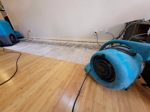 Professional Water Damage Repair technician working in Belle Mina, AL